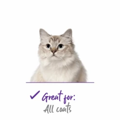 Soft Cat Brush -Kazoo Store 12625 Kazoo CatBrushSoft B2