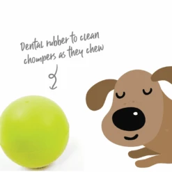 Super Strong Rubber Ball Dog Toy -Kazoo Store 13127 13155 Kazoo RubberBall D2