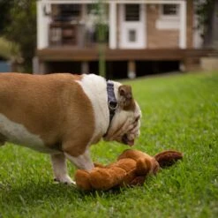 Furries - Long Ear Dog -Kazoo Store 13388 Kazoo Furries Long Eared Dog Medium Lifestyle