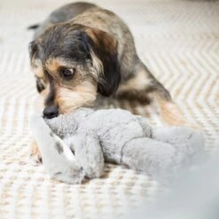 Furries - Long Ear Donkey -Kazoo Store 13391 Kazoo Furries Long Eared Donkey Medium Lifestyle