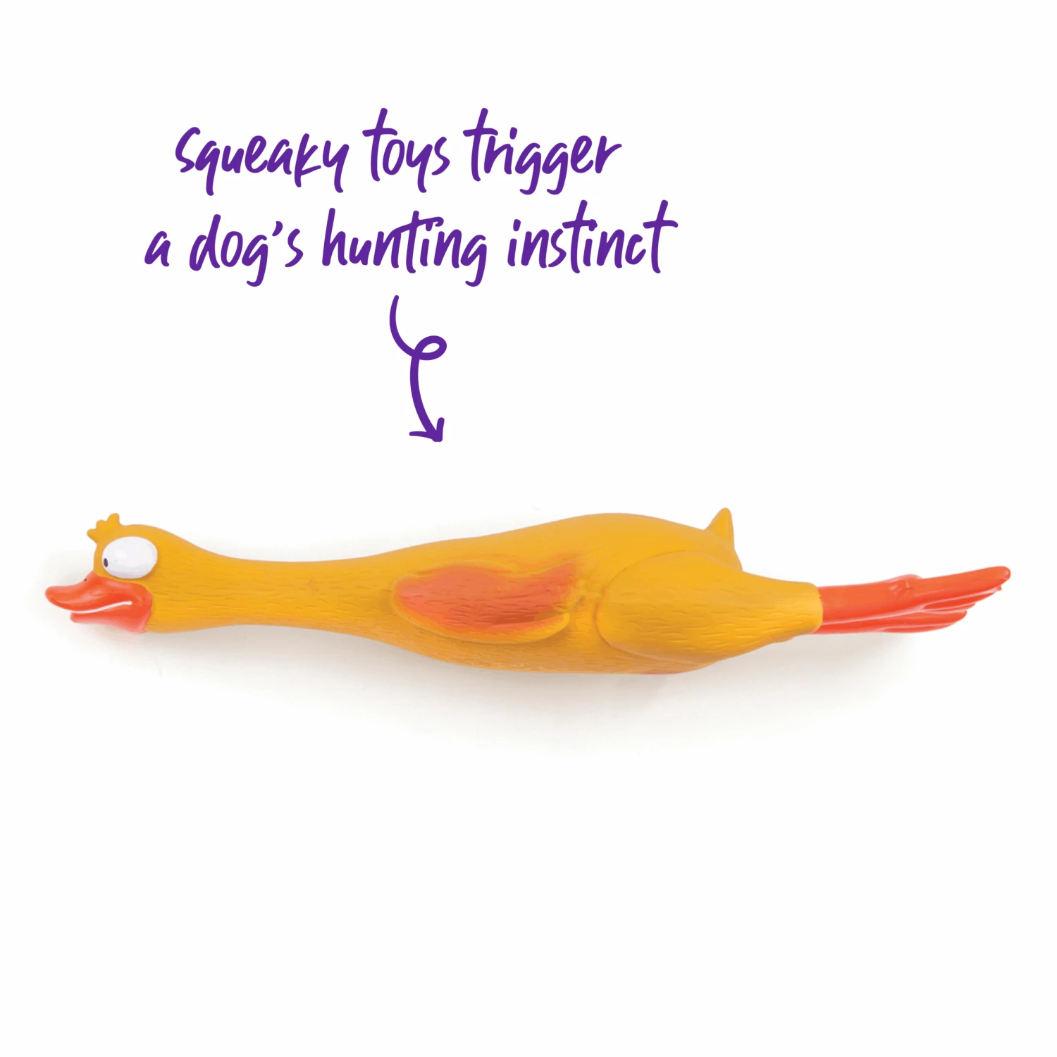 Dozy Duck Squeaky Dog Toy 8 Dozy Duck Squeaky Dog Toy - Image 6