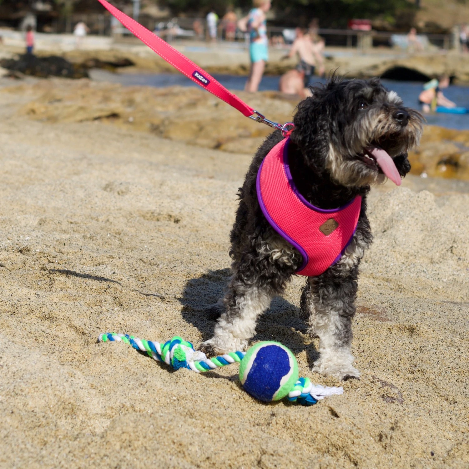 Twisted Rope Sling Tennis Ball Dog Toy 8 Twisted Rope Sling Tennis Ball Dog Toy - Image 6