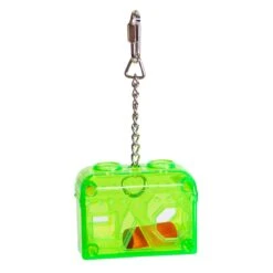 Puzzle Box Bird Toy