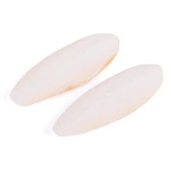 Natural Cuttlebone - 2 Pack