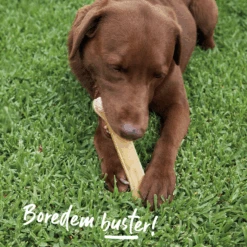 Smoked Mighty Bone -Kazoo Store 16125 SmokedMightyBone M D 4