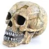 Skull -Kazoo Store 18856 Kazoo Skull Large