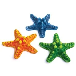Starfish 3 Pack