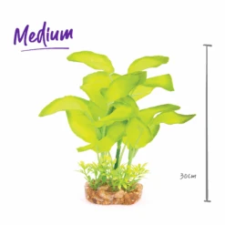 Silk Plant - Large Leaf Green 8 Silk Plant - Large Leaf Green -Kazoo Store 19549 Kazoo SilkPlant LargeLeafGreen D