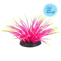 Silicone Sea Anemone -Kazoo Store 19652 Kazoo SiliconePlant SeaAnenome Pink Small Icons