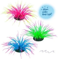 Silicone Sea Anemone