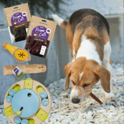 Brainy Barker Dog Enrichment Bundle -Kazoo Store Bundle Images Doodles 15
