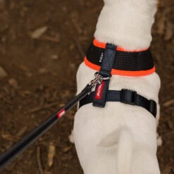 Active Soft Walking Dog Harness - Slate & Orange -Kazoo Store Kaz Active Soft Harness Slate Orange