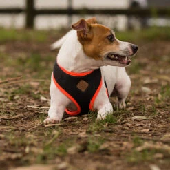 Active Soft Walking Dog Harness - Slate & Orange -Kazoo Store Kaz Active Soft Harness Slate Orange 04