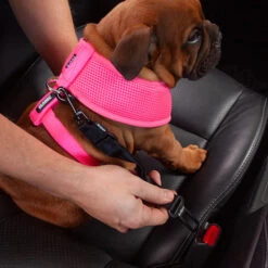 Classic Soft Walking Dog Harness - Pink -Kazoo Store Kaz Classic Pink Soft Harness 01