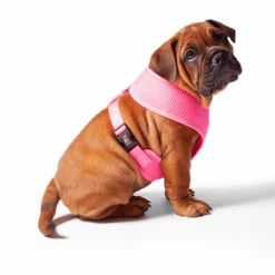 Classic Soft Walking Dog Harness - Pink -Kazoo Store Kaz Classic Pink Soft Harness 02