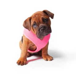 Classic Soft Walking Dog Harness - Pink -Kazoo Store Kaz Classic Pink Soft Harness 03
