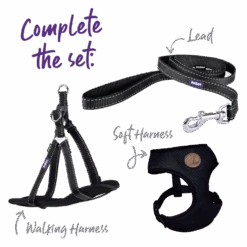 Classic Dog Lead - Black 13 Classic Dog Lead - Black -Kazoo Store Kazoo 11100 11103 ClassicEasy ClipCollar Black Doodles5