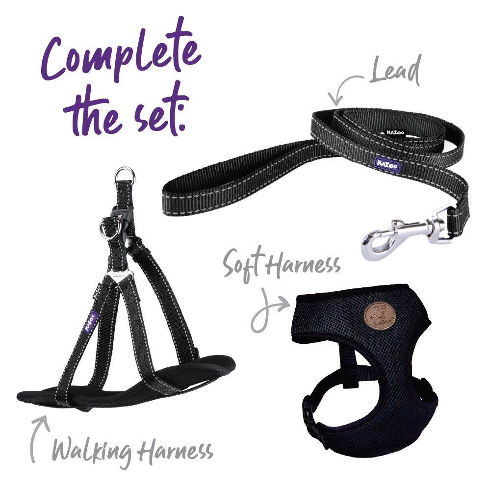 Classic Dog Lead - Black 8 Classic Dog Lead - Black - Image 6