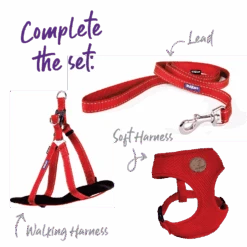 Classic Easy-clip Dog Collar - Red -Kazoo Store Kazoo 11108 11111 ClassicEasy ClipCollar RedDoodles5