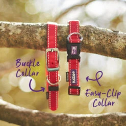 Classic Dog Collar - Red -Kazoo Store Kazoo 11120 11123 Classic Collar Red LS2 Doodles
