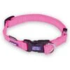 Classic Easy-clip Dog Collar - Pink -Kazoo Store Kazoo 11132 11135 ClassicEasy ClipCollar Pink