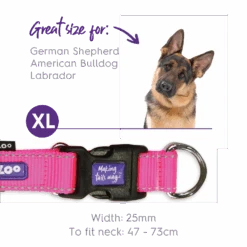 Classic Easy-clip Dog Collar - Pink -Kazoo Store Kazoo 11132 11135 ClassicEasy ClipCollar Pink Doodles4