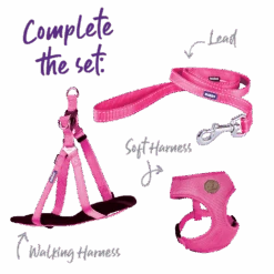 Classic Dog Lead - Pink -Kazoo Store Kazoo 11132 11135 ClassicEasy ClipCollar Pink Doodles5 5bced601 c381 4b62 bbe3 0f3727f82d25