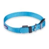 Classic Dog Collar - Aqua -Kazoo Store Kazoo 11144 11147 ClassicCollar Aqua