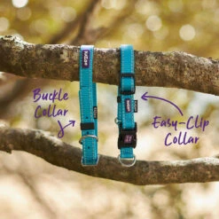 Classic Dog Collar - Aqua -Kazoo Store Kazoo 11144 11147 ClassicCollar Aqua LS2 Doodles