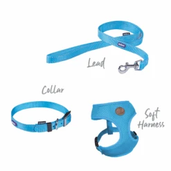 Classic Dog Collar - Aqua -Kazoo Store Kazoo 11144 11147 ActiveCollar Aqua Range 6bec86d0 2a4a 49ba 877a 82a15a626ce3