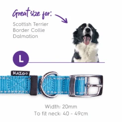 Classic Dog Collar - Aqua -Kazoo Store Kazoo 11146 ActiveCollar Aqua L fbd08a97 621c 43f2 9348 496d11b60e3a