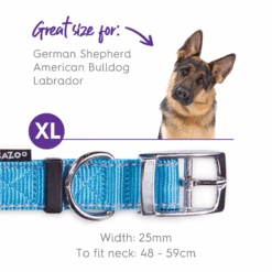 Classic Dog Collar - Aqua -Kazoo Store Kazoo 11147 ActiveCollar Aqua XL d062bae3 980b 4c60 8090 ad08e2acef6a