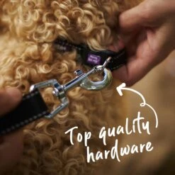 Classic Dog Lead - Black 10 Classic Dog Lead - Black -Kazoo Store Kazoo 11200 11202 ClassicLead Black LS3 Doodles