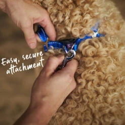 Classic Dog Lead - Blue 25 Classic Dog Lead - Blue -Kazoo Store Kazoo 11203 11205 ClassicLead Blue LS5 Doodles