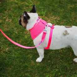 Classic Dog Lead - Pink -Kazoo Store Kazoo 11216 11219 ClassicLead Pink LS1