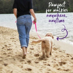 Classic Dog Lead - Pink -Kazoo Store Kazoo 11216 11219 ClassicLead Pink LS4 Doodles