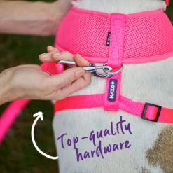 Classic Dog Lead - Pink -Kazoo Store Kazoo 11216 11219 ClassicLead Pink LS5 Doodles