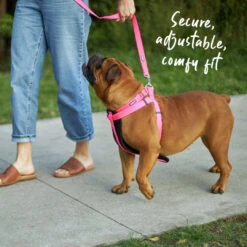 Classic Walking Dog Harness - Pink -Kazoo Store Kazoo 11285 11765 ClassicWalkingHarness Pink LS4