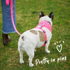 Classic Soft Walking Dog Harness - Pink -Kazoo Store Kazoo 11288 11292 ClassicSoftHarness Pink LS1 Doodles