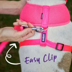 Classic Soft Walking Dog Harness - Pink -Kazoo Store Kazoo 11288 11292 ClassicSoftHarness Pink LS4 Doodles
