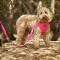 Classic Soft Walking Dog Harness - Pink -Kazoo Store Kazoo 11288 11292 ClassicSoftHarness Pink LS5