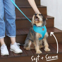 Classic Soft Dog Harness - Aqua 13 Classic Soft Dog Harness - Aqua -Kazoo Store Kazoo 11294 11299 Active SoftWalkingHarness Aqua LS3 Doodles