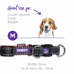 Active Easy-clip Dog Collar - Slate & Orange -Kazoo Store Kazoo 11300 11303 ActiveEasy ClipCollar Slate Orange M