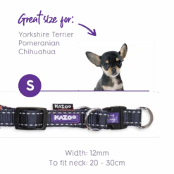 Active Easy-clip Dog Collar - Slate & Orange -Kazoo Store Kazoo 11300 11303 ActiveEasy ClipCollar Slate Orange S