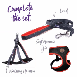 Active Dog Collar - Slate & Orange -Kazoo Store Kazoo 11300 11303 ActiveEasy ClipCollar Slate Orange Set