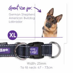 Active Easy-clip Dog Collar - Slate & Orange -Kazoo Store Kazoo 11300 11303 ActiveEasy ClipCollar Slate Orange XL