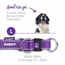 Active Easy-clip Dog Collar - Purple & Lime -Kazoo Store Kazoo 11304 11307 ActiveEasy ClipCollar PurpleLime L
