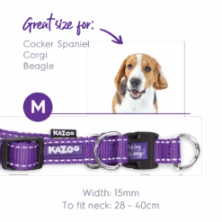 Active Easy-clip Dog Collar - Purple & Lime -Kazoo Store Kazoo 11304 11307 ActiveEasy ClipCollar PurpleLime M
