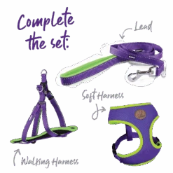 Active Soft Walking Dog Harness - Purple & Lime -Kazoo Store Kazoo 11304 11307 ActiveEasy ClipCollar PurpleLime Set
