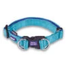 Active Easy-clip Dog Collar - Aqua & Purple -Kazoo Store Kazoo 11308 11311 ActiveEasy ClipCollar Aqua Purple